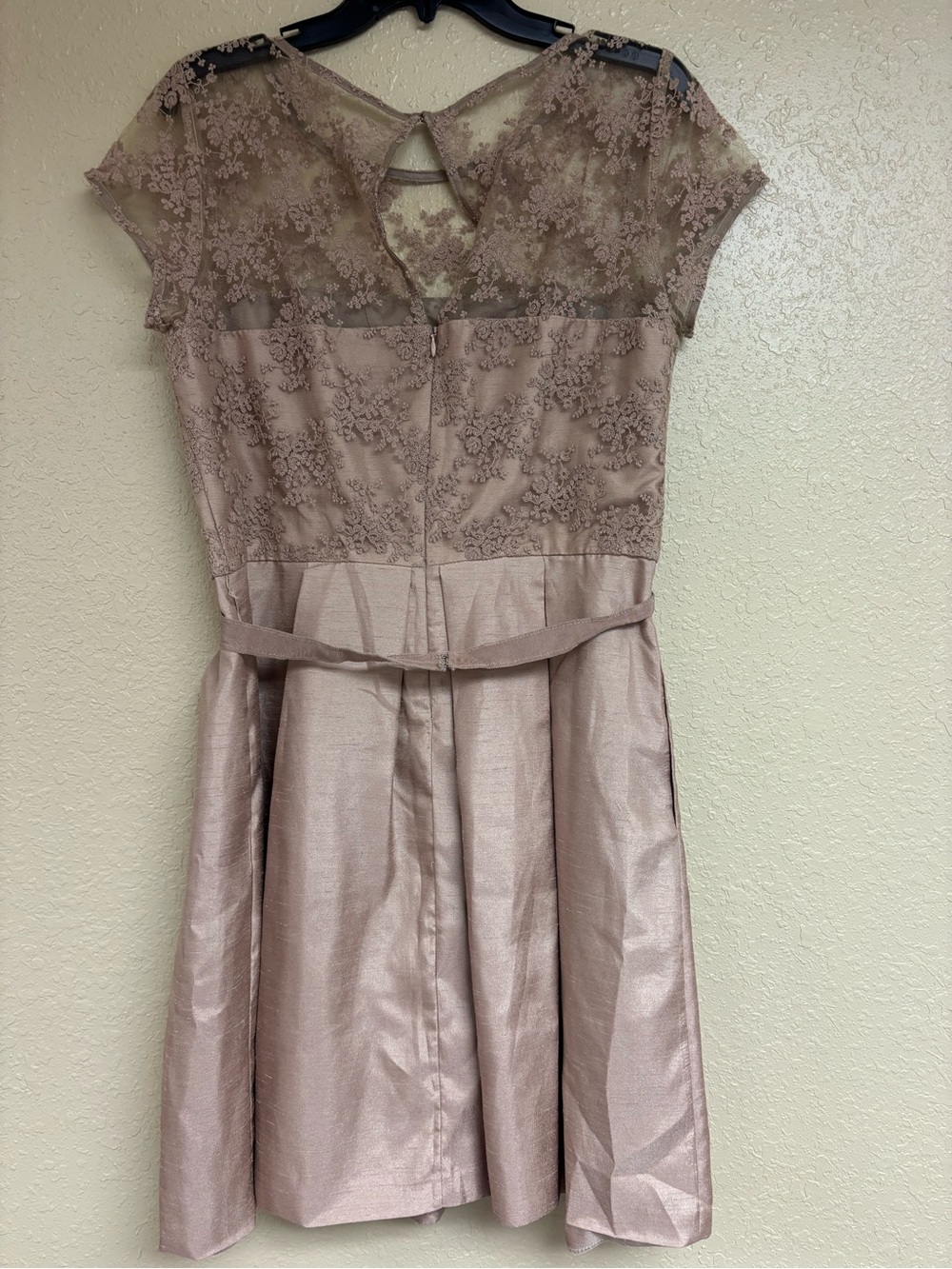Taylor Blush Lace & Satin Fit-and-Flare Dress